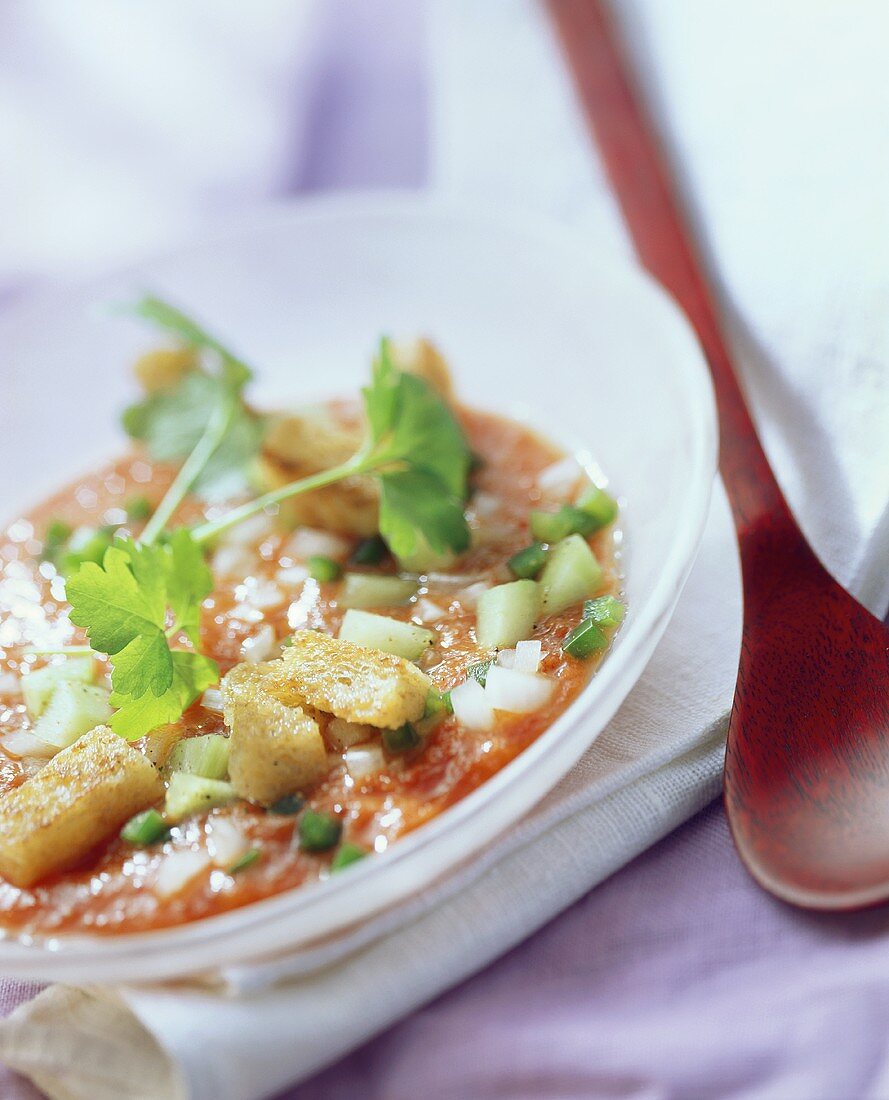Gazpacho mit Croûtons in weißem Suppenteller