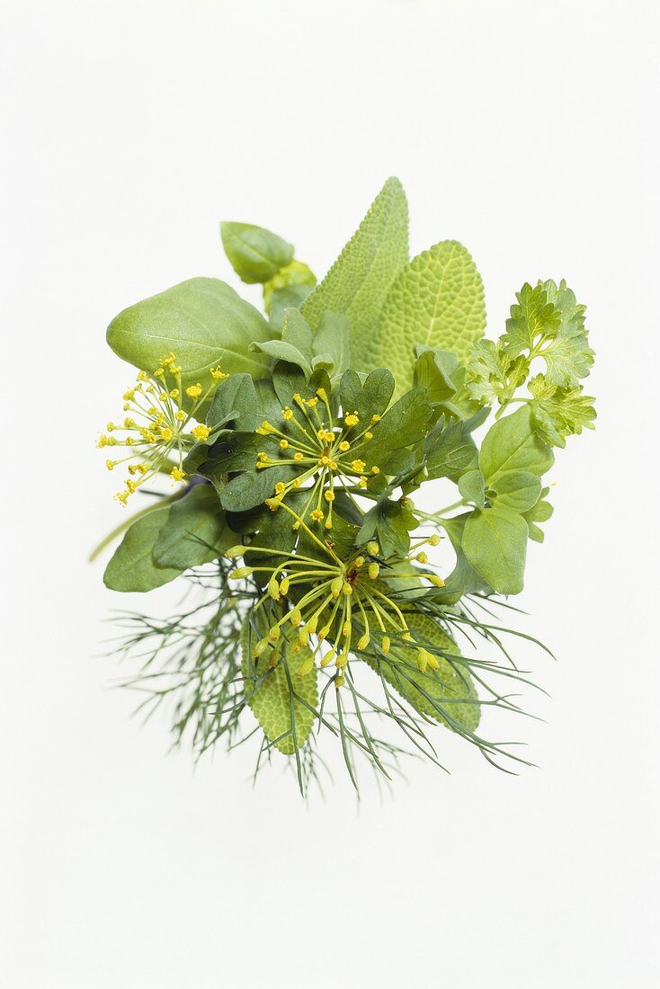 Herb bouquet with dill, sage, basil, parsley