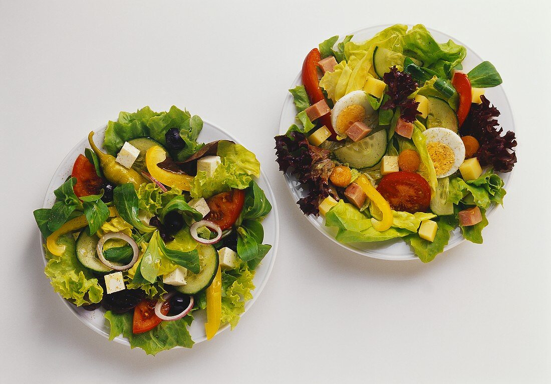 Zwei verschiedene gemischte Blattsalate