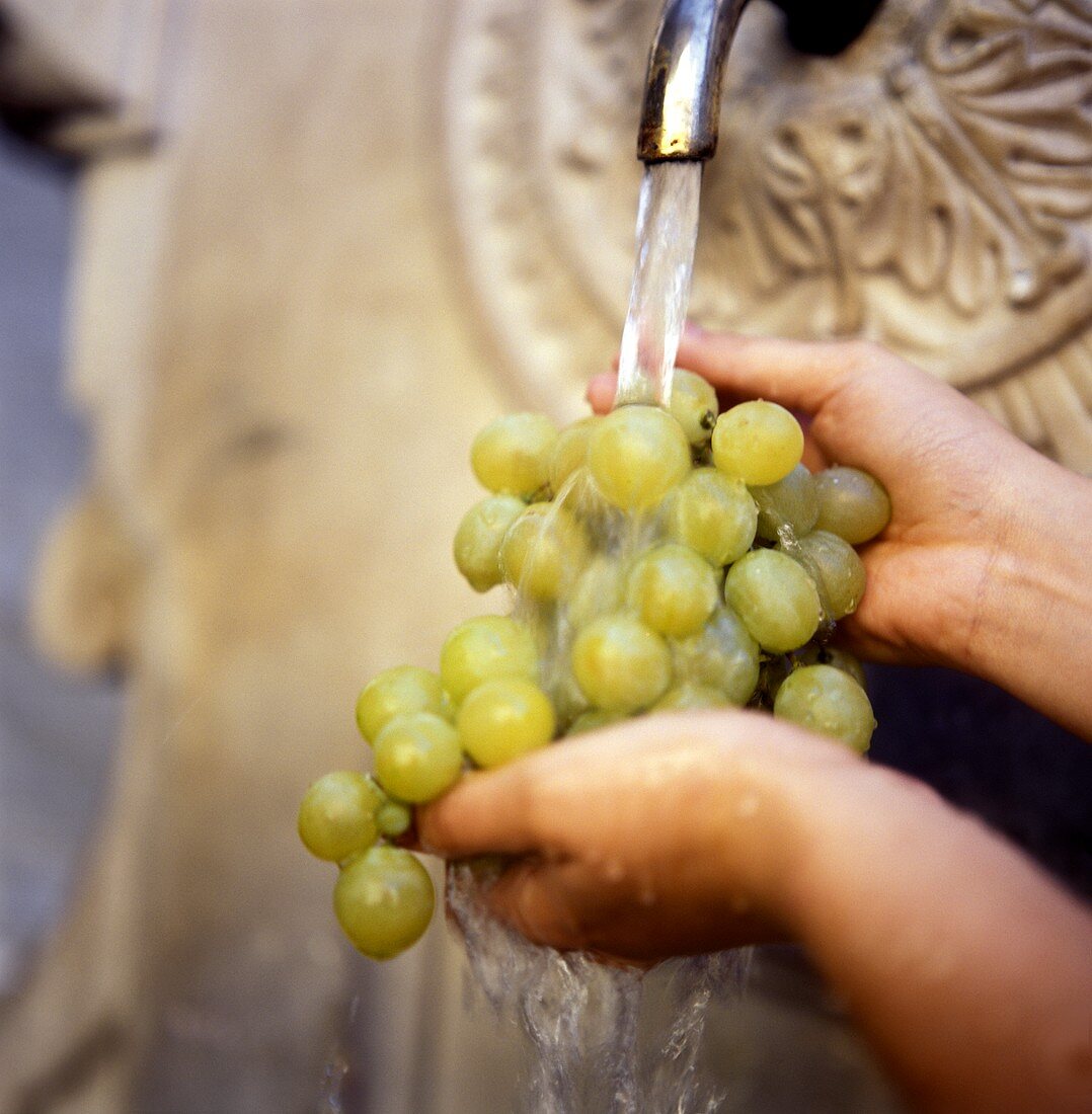 Washing green grapes