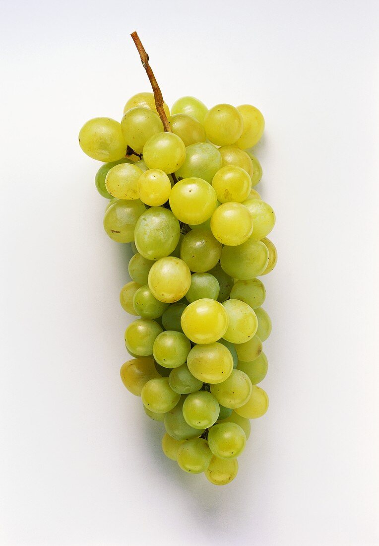 Green grapes on white background