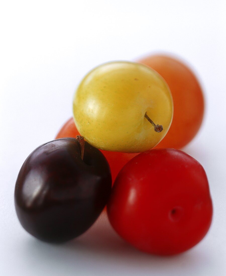 Plums of various colours on white background