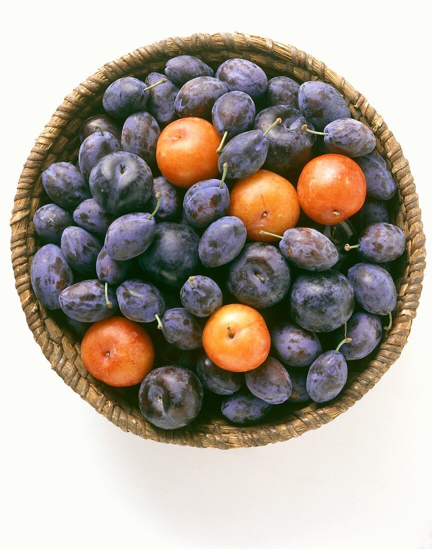 Plums and damsons in a basket