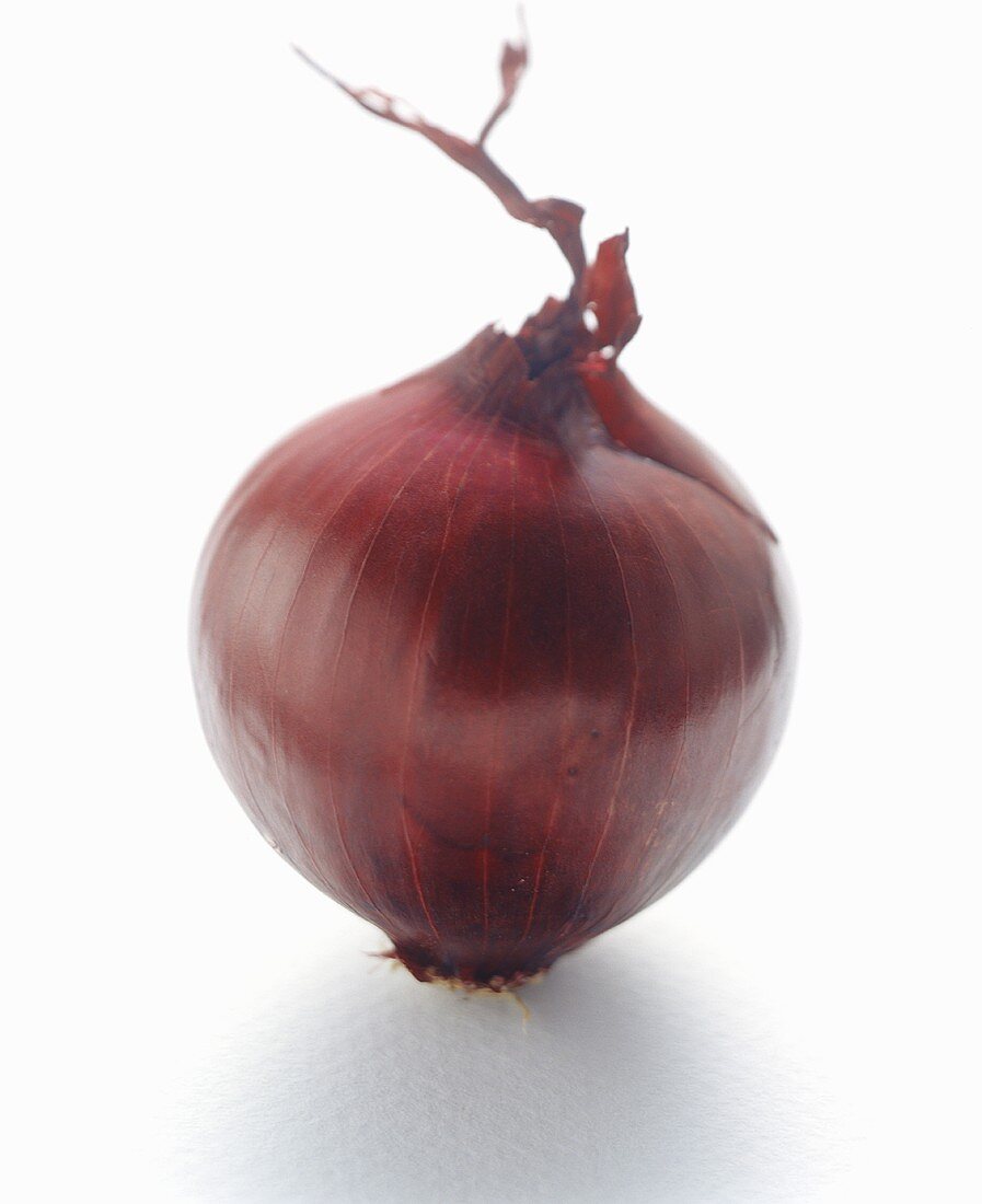 A red onion on white background