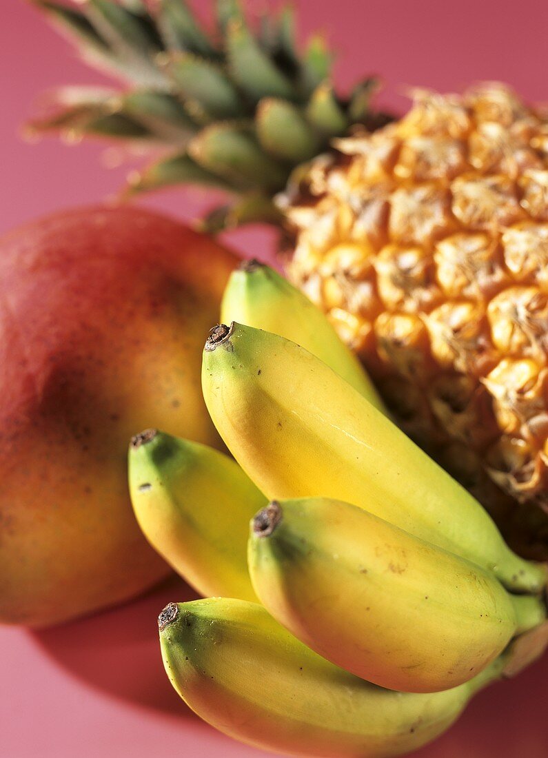 Exotic fruit still life (pineapple, mango, bananas)
