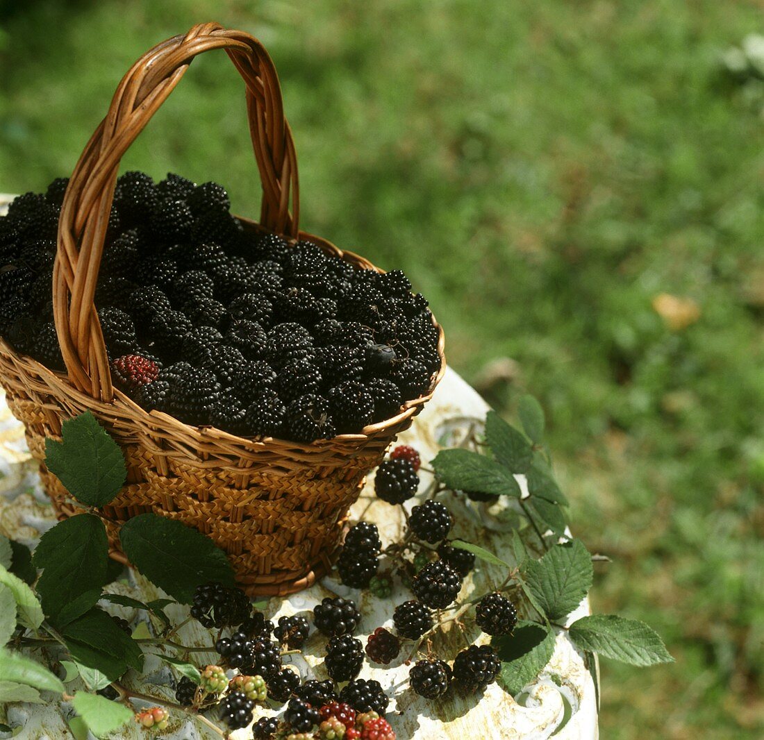 Brombeeren in einem Korb im Freien