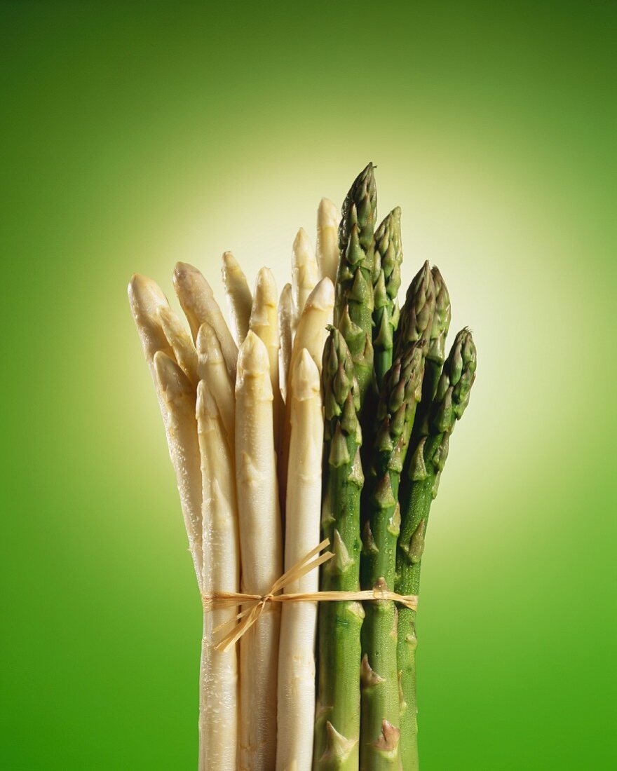 A bundle of white and green asparagus: green backdrop