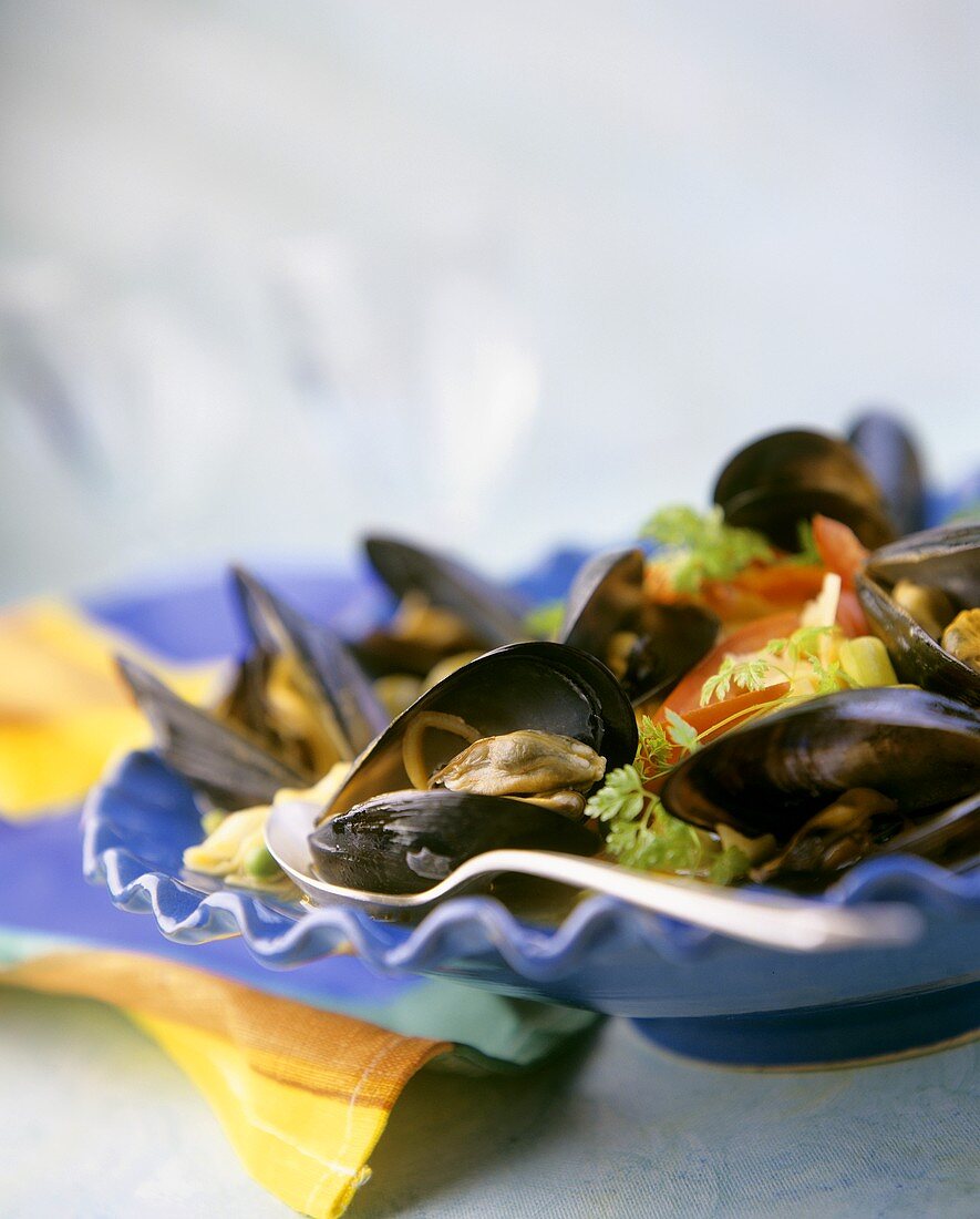 Miesmuscheln mit Tomaten auf blauem Teller