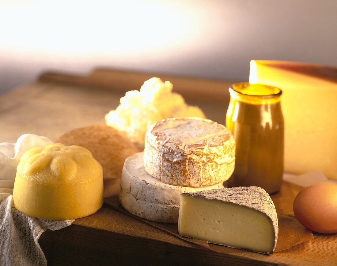 Various types of cheese, egg and yoghurt on wooden platter