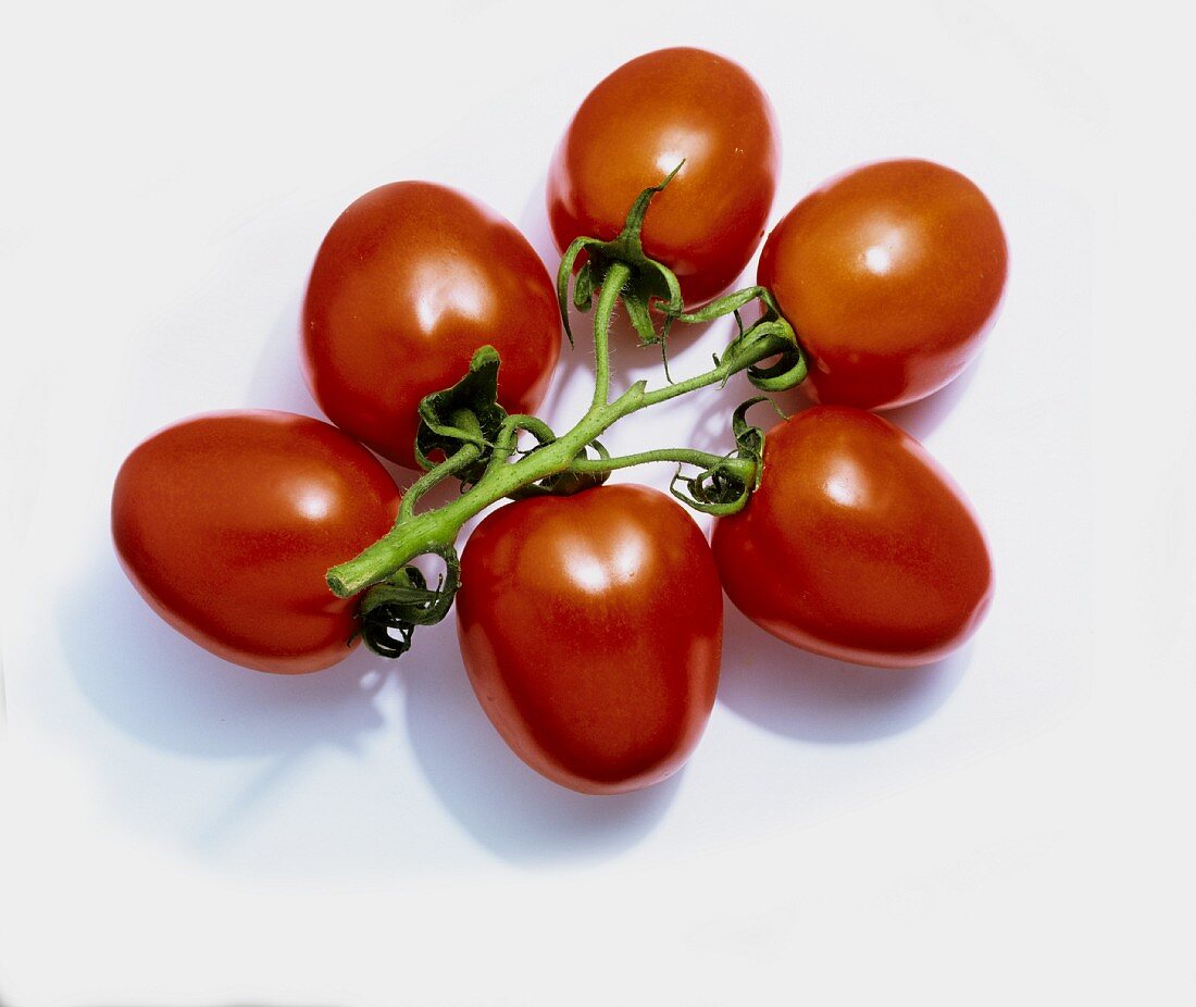 Plum tomatoes on a white background