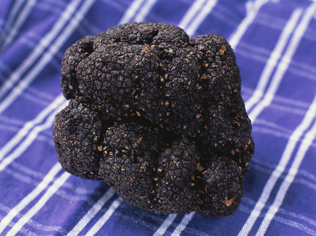 Fine black truffle on a blue and white checked cloth