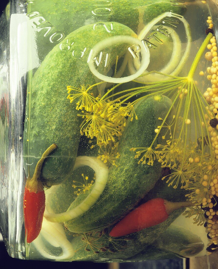 Gherkins with onions, dill and chili pods in a jar