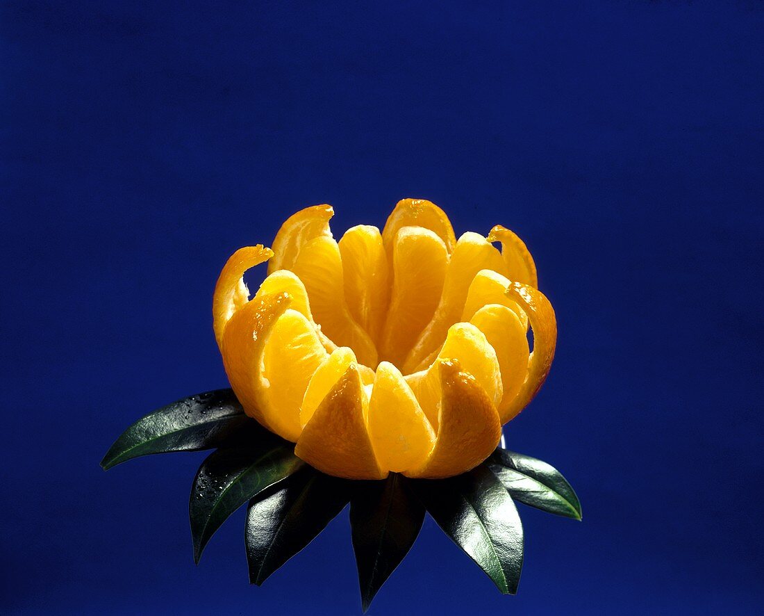 Mandarinenspalten in aufgeschnittener Schale
