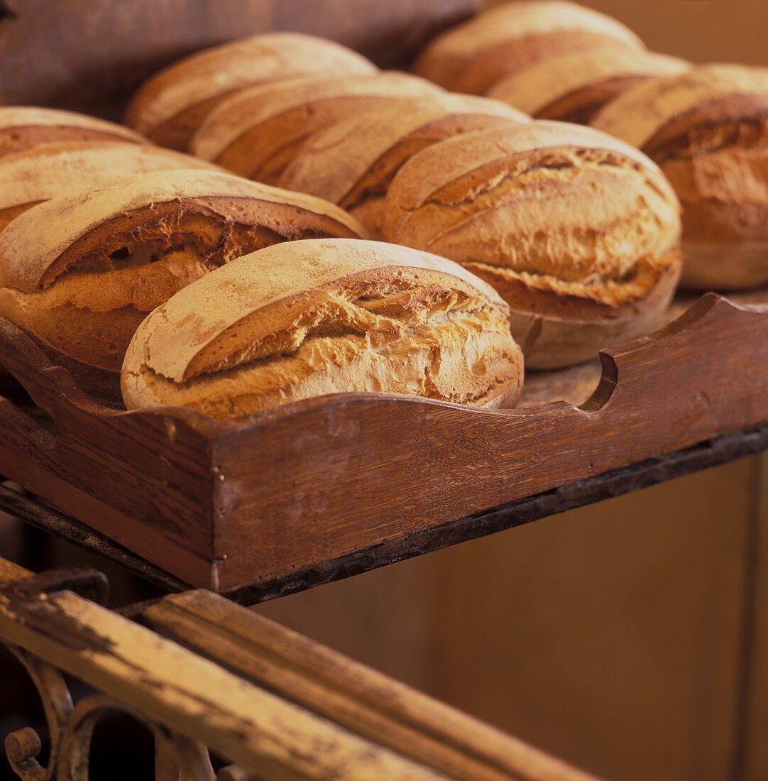Loaves of bread on a wooden tray