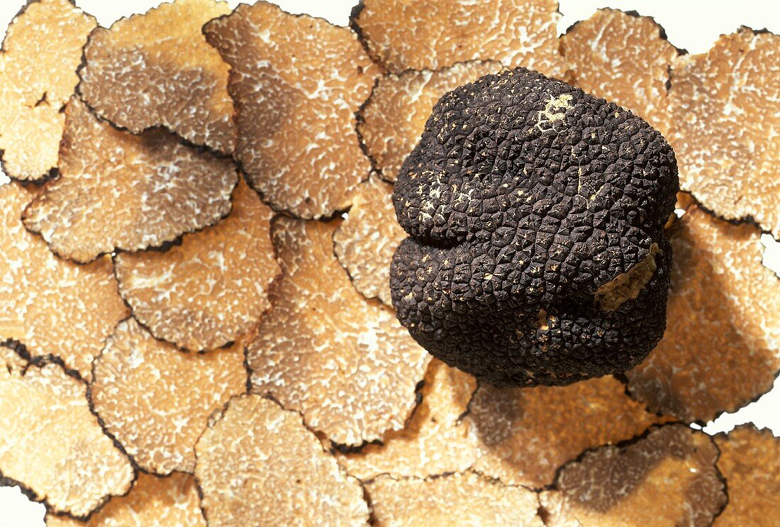 Black truffles on truffle slices