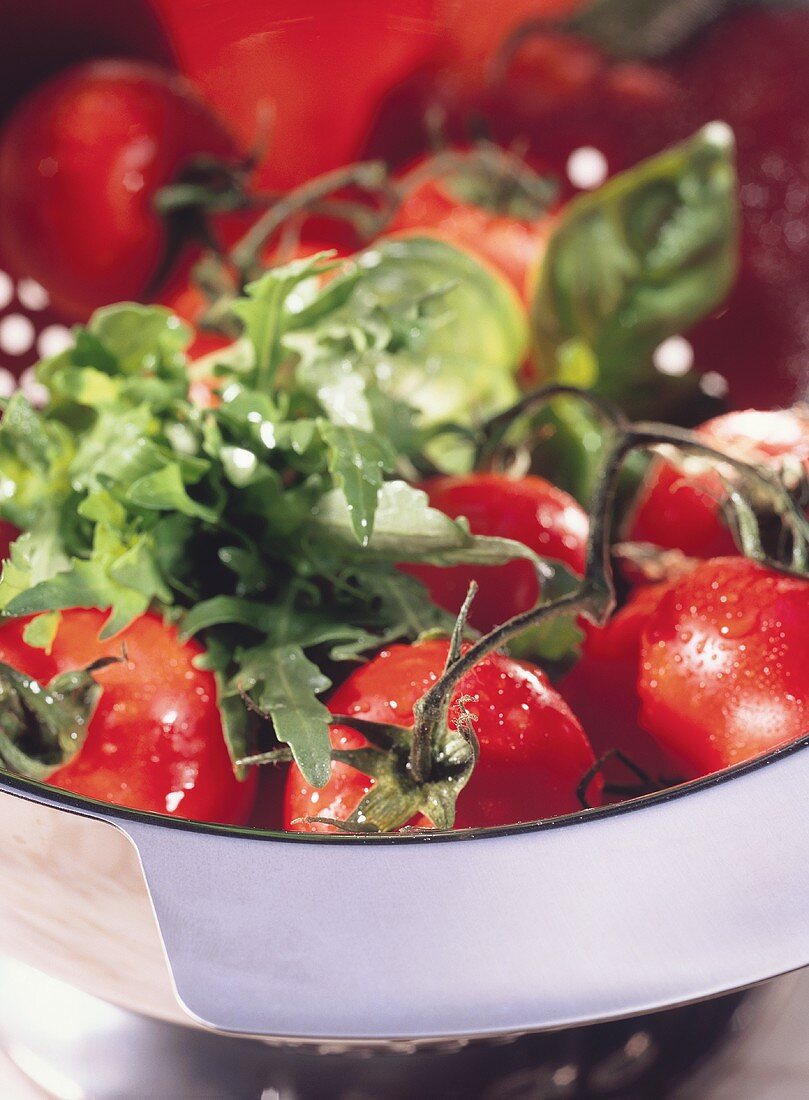 Frisch gewaschene Tomaten mit Rucola in einem Sieb