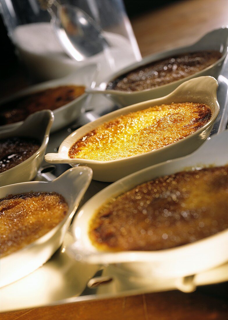 Crème brulee in shallow gratin dishes