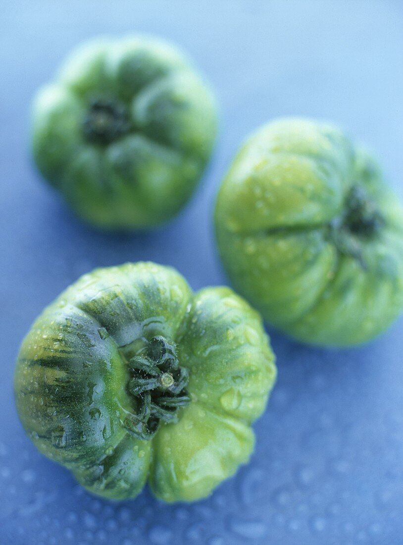 Grüne Tomaten mit Wassertropfen auf blauem Untergrund