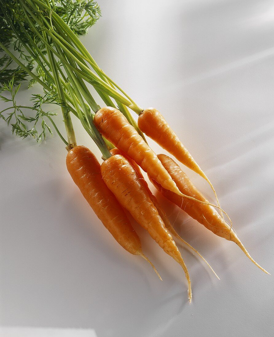 Fresh carrots with tops