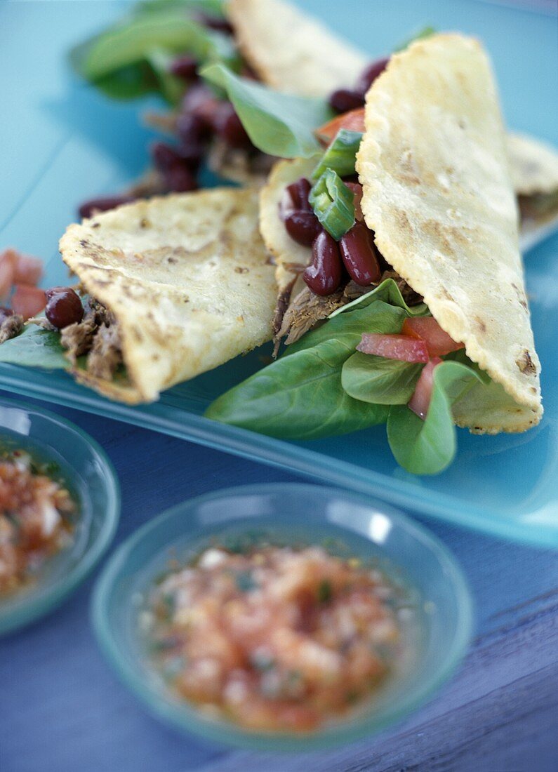 Tortillas mit Bohnen und Rindfleisch; Salsa