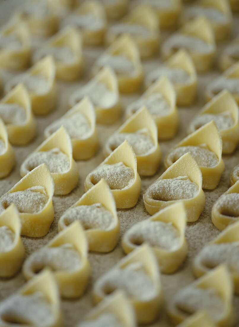 Home-made tortellini in rows