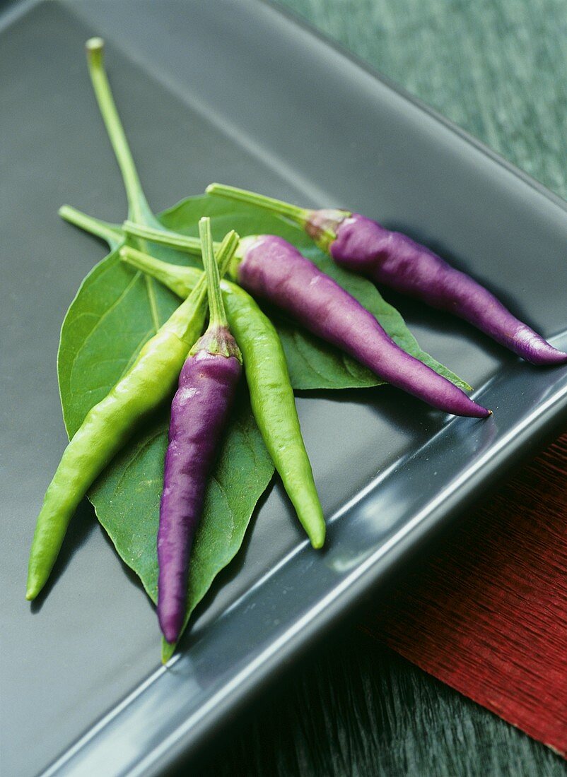 Purple and green chili peppers on plate