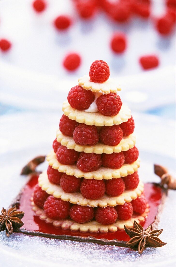 Small raspberry cake with star anise