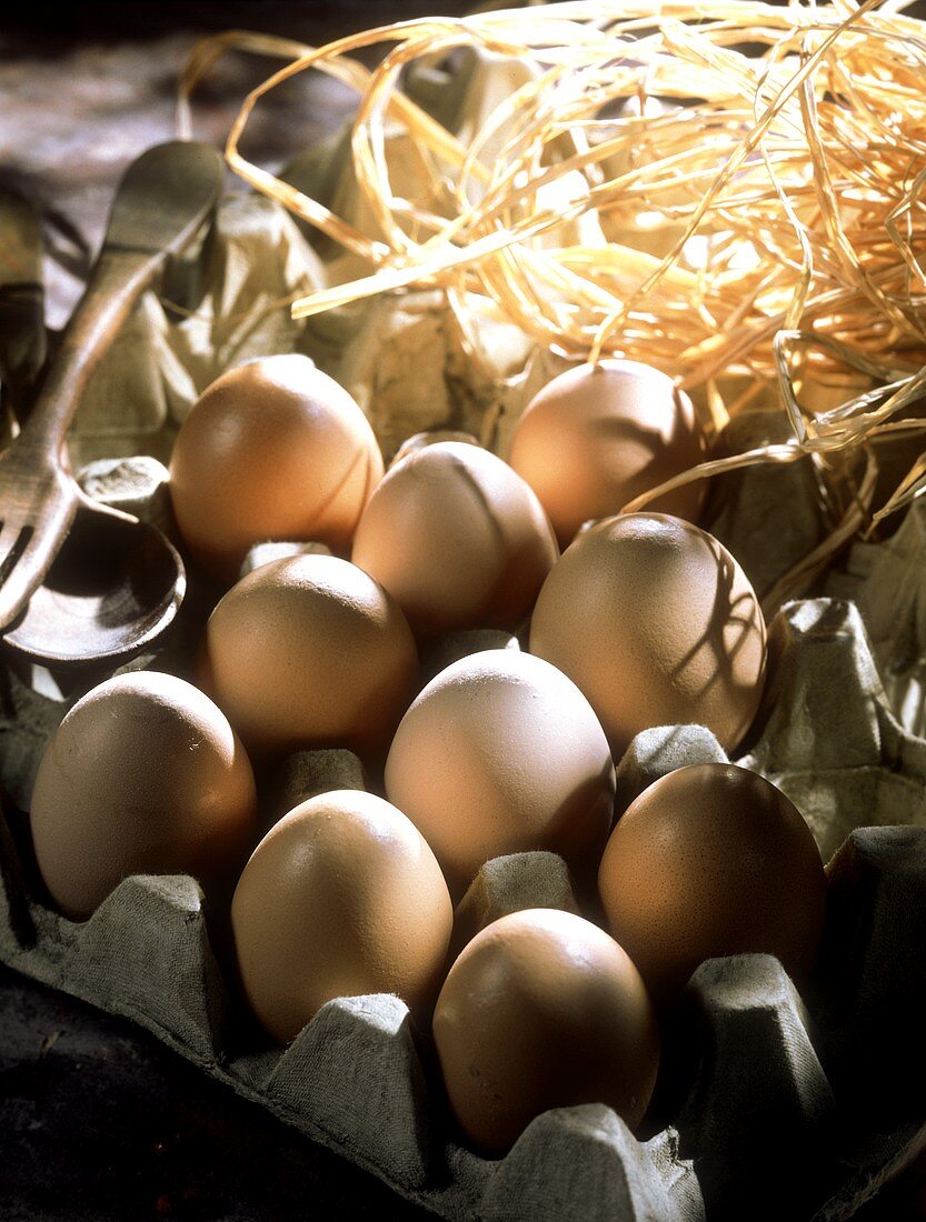 Braune Eier im Eierkarton mit Stroh