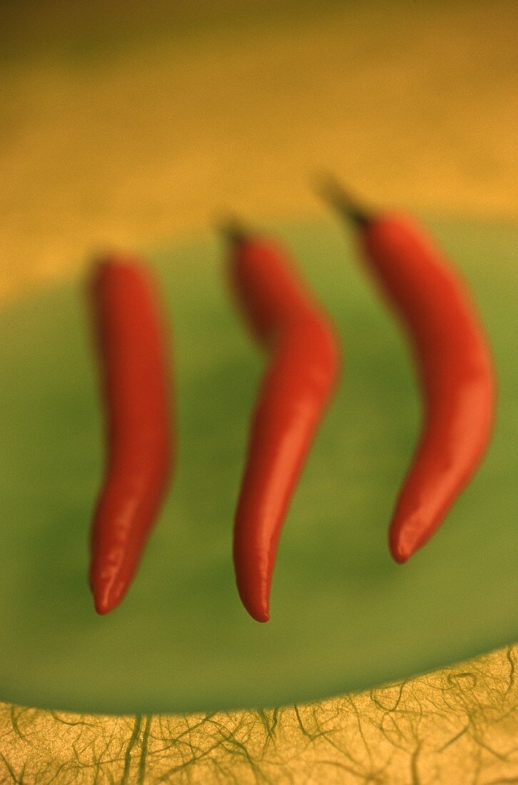 Drei rote Peperoni auf grünem Teller