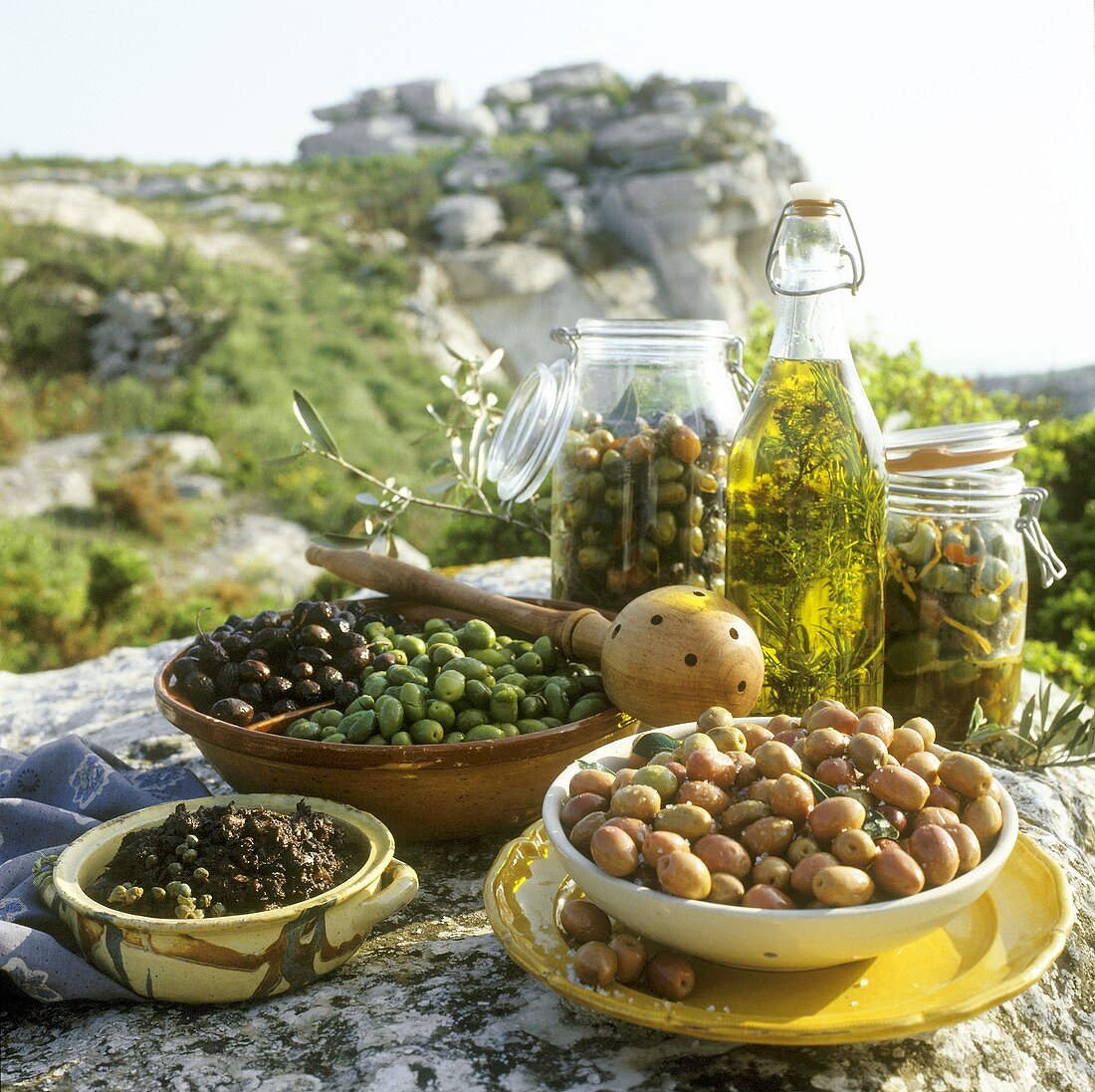 Olive still life on a rock