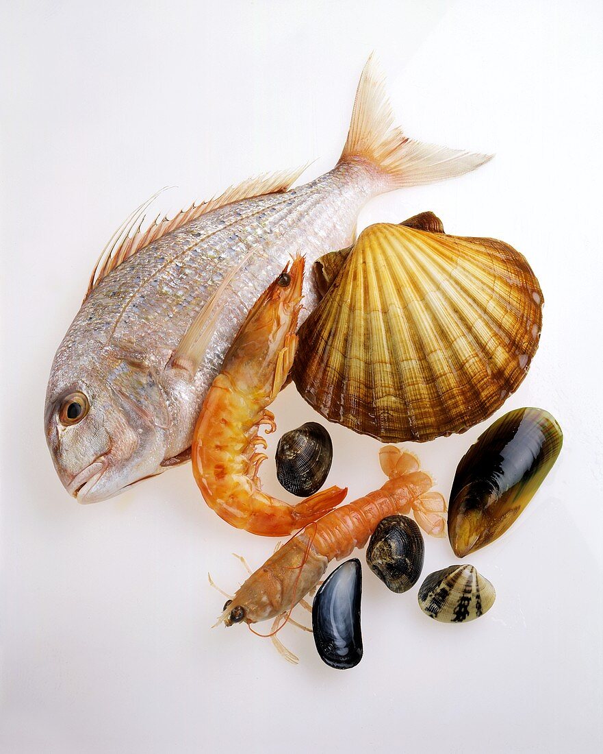 Fisch, Muscheln und Krustentiere