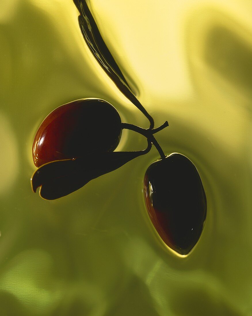 Two olives on a green background