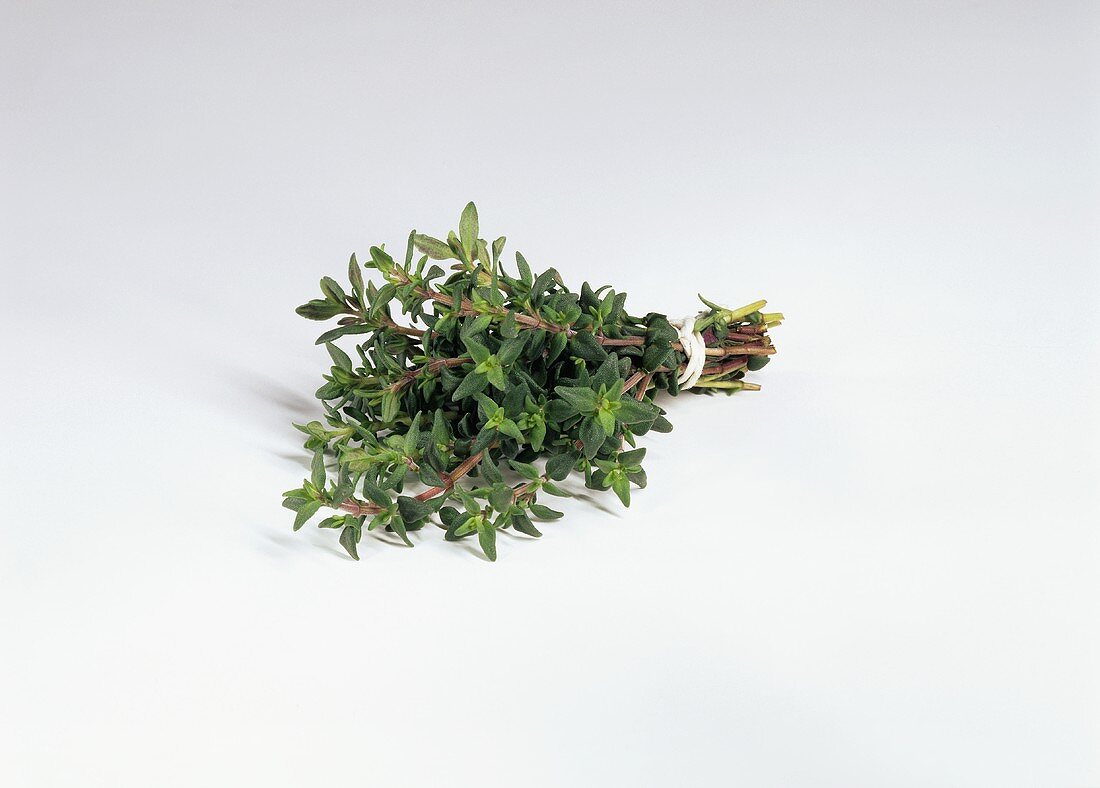 A bunch of thyme on a white background