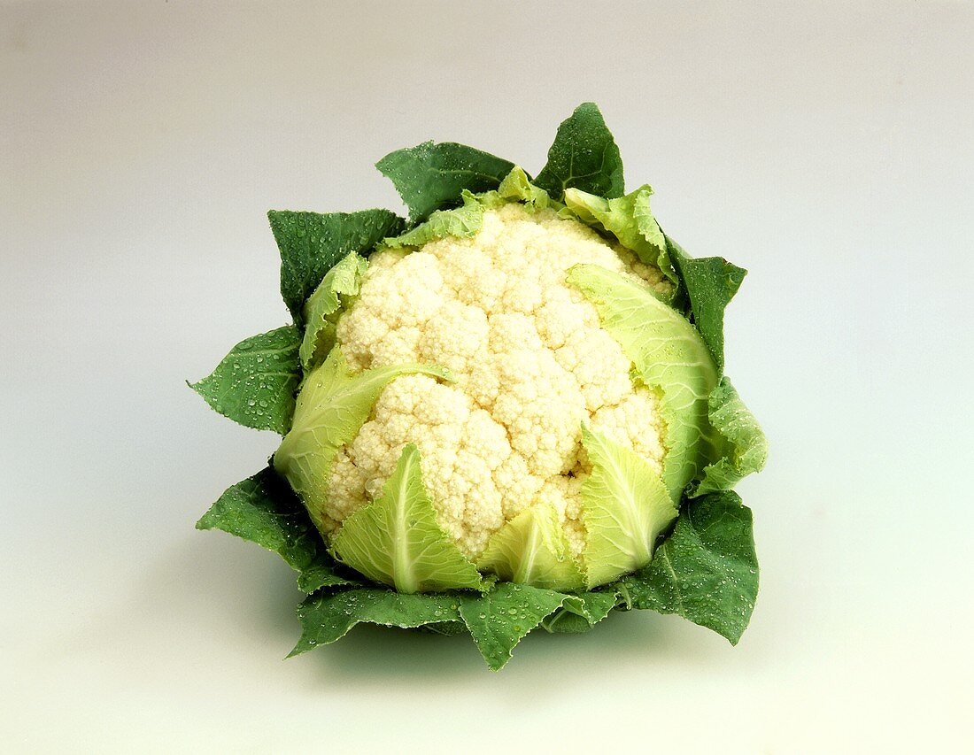 A cauliflower with drops of water