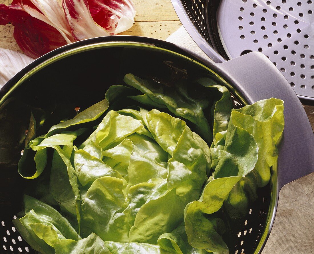 Lettuce in a stainless steel colander