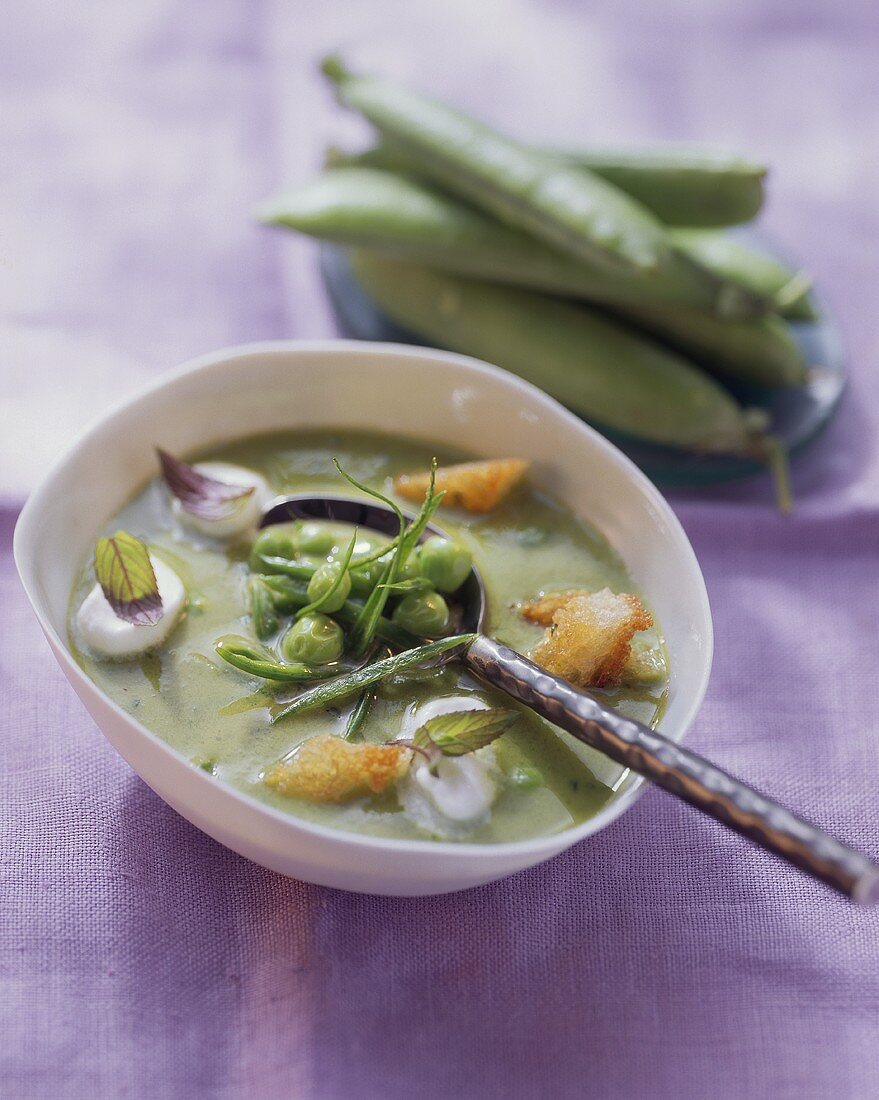 Erbsensuppe mit Minze, Creme fraiche und Croûtons