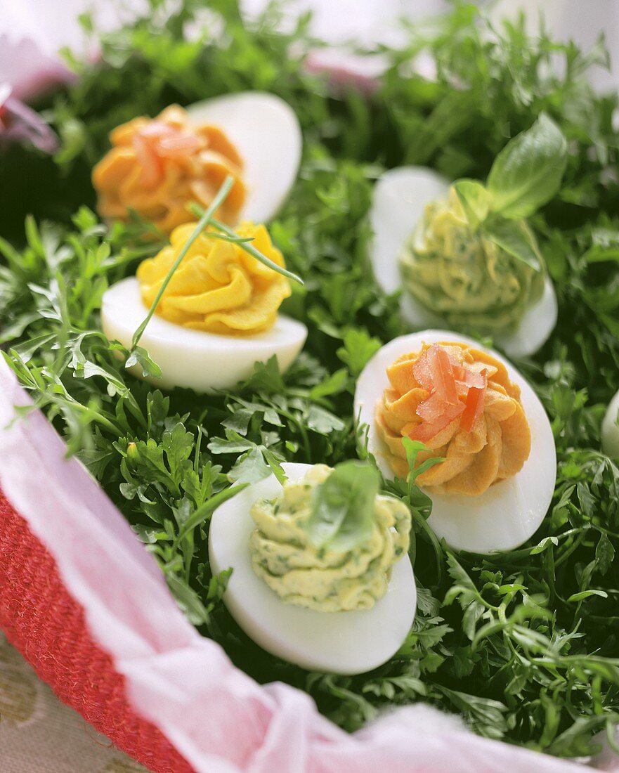 Various stuffed eggs on fresh parsley