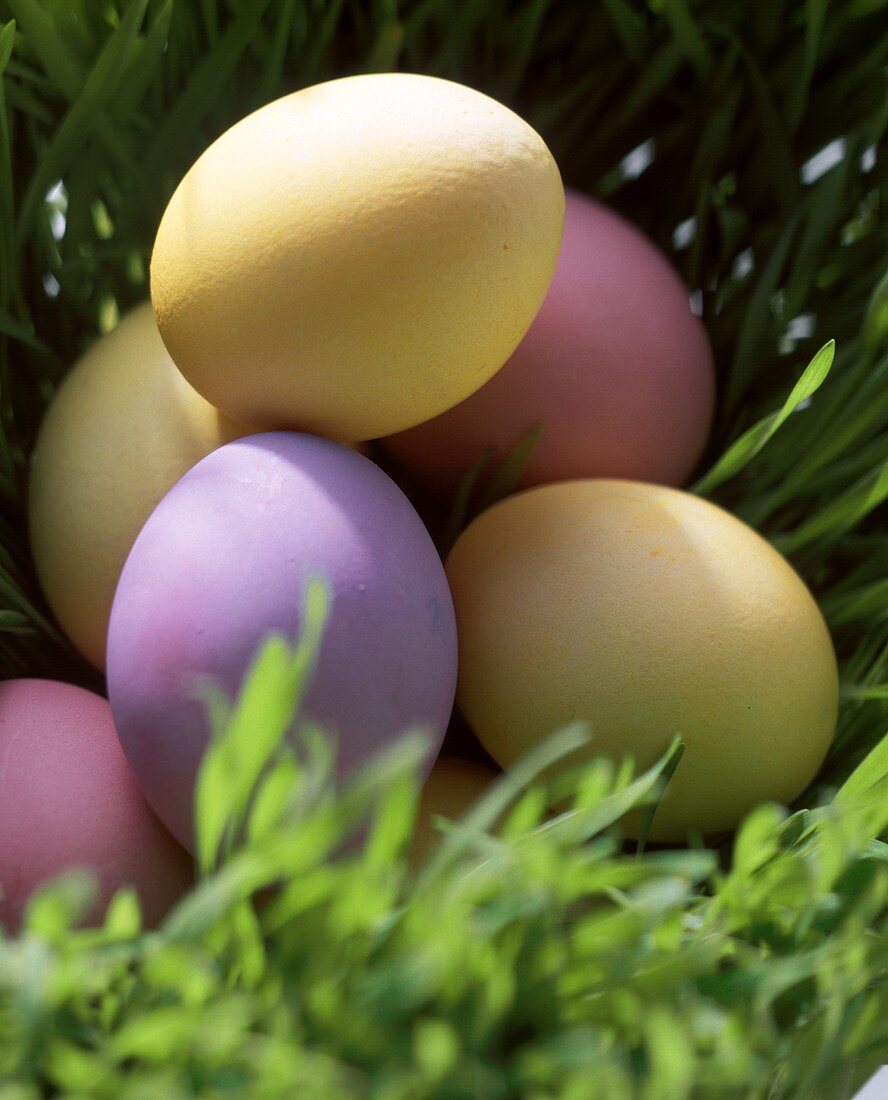 Gefärbte Eier in einer Wiese als Osterdeko