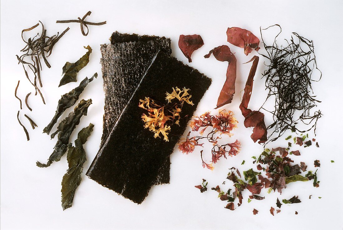 Various seaweeds