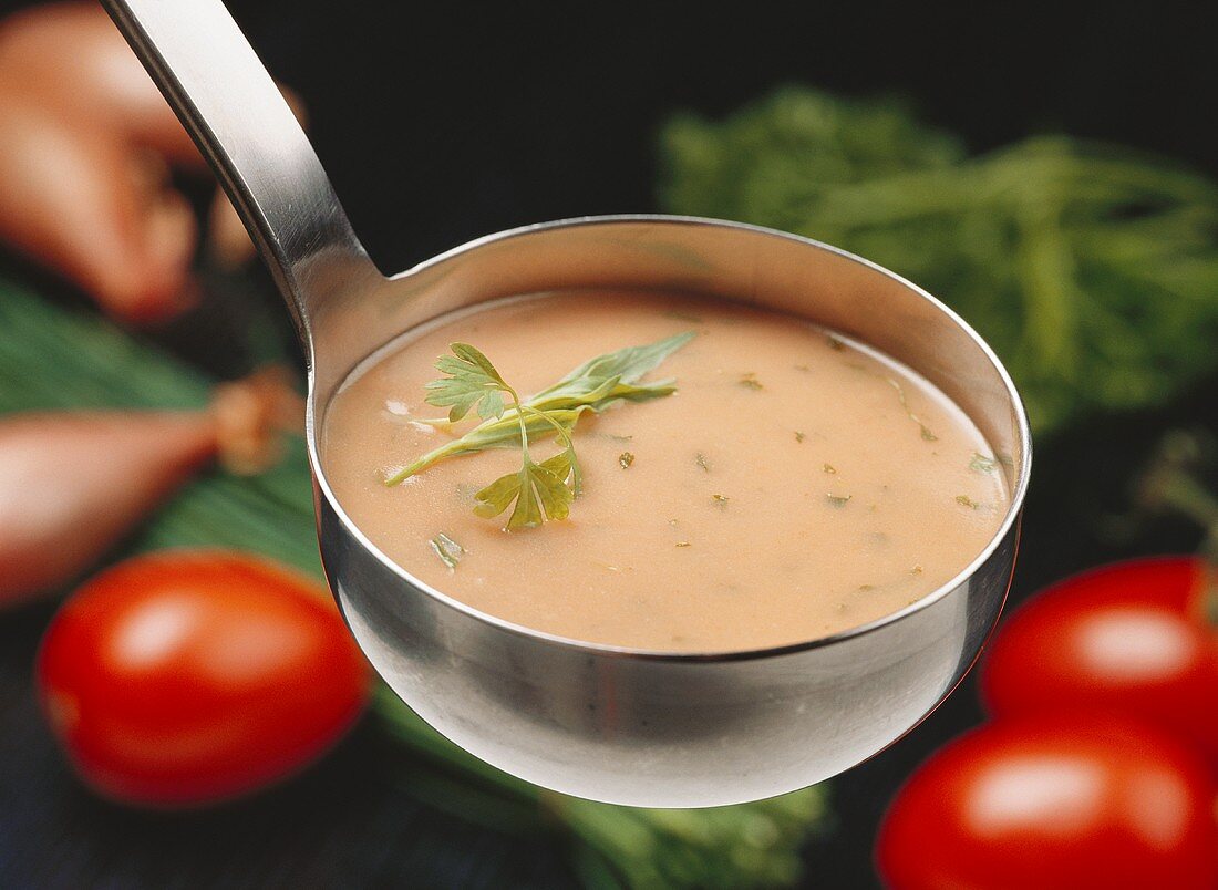 Tomato soup in ladle with fresh herbs