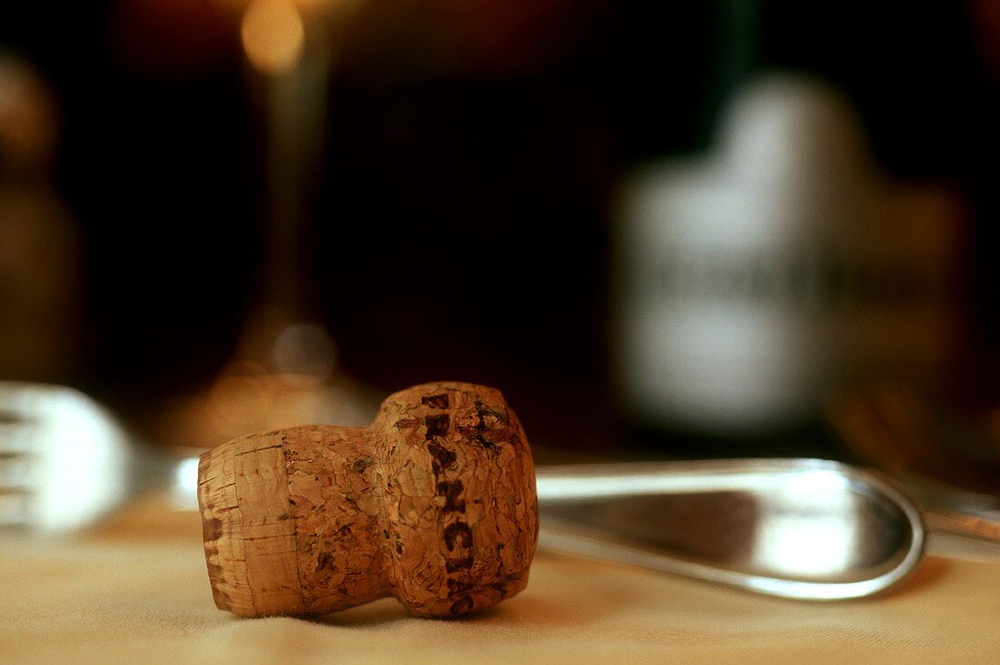 Weinkorken vor Gabel auf Tisch