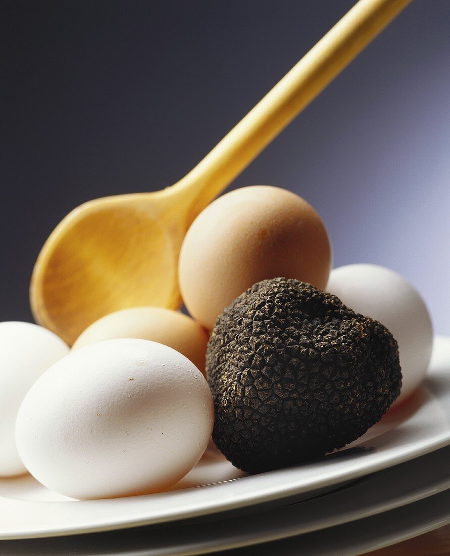Eier und schwarze Trüffel auf Teller mit Kochlöffel