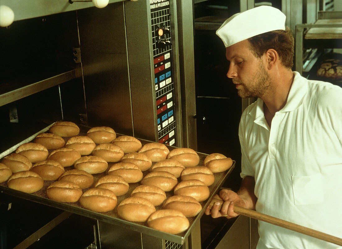 Bäcker entnimmt dem Backofen ein Blech mit Brötchen