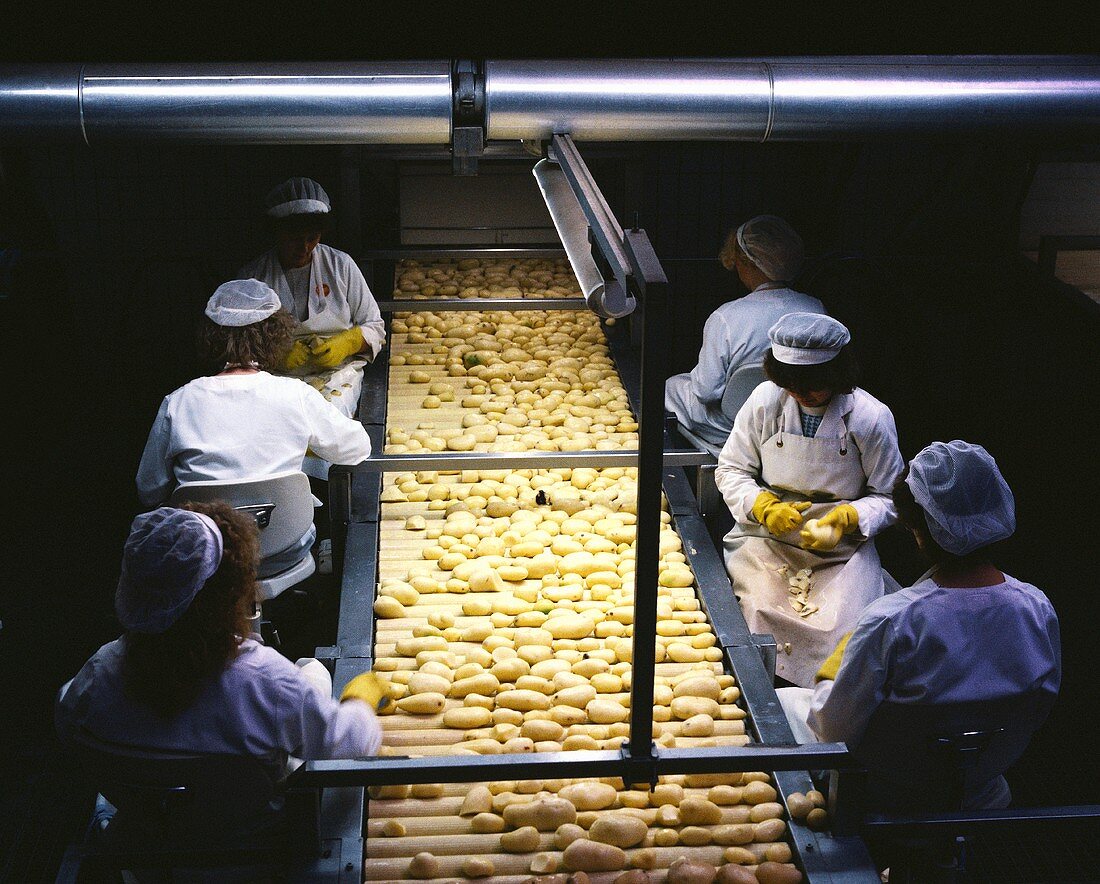 Qualitätskontrolle von Kartoffeln für Fertiggerichte