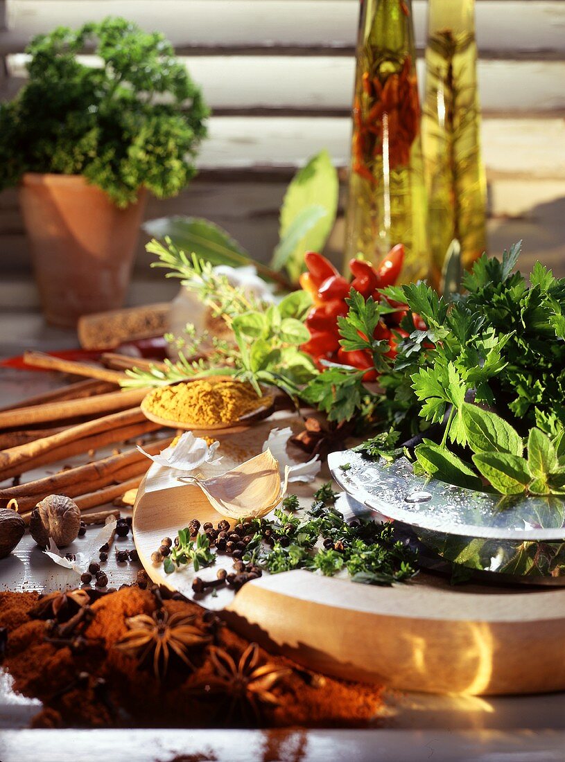 Still life with fresh herbs, spices and oil