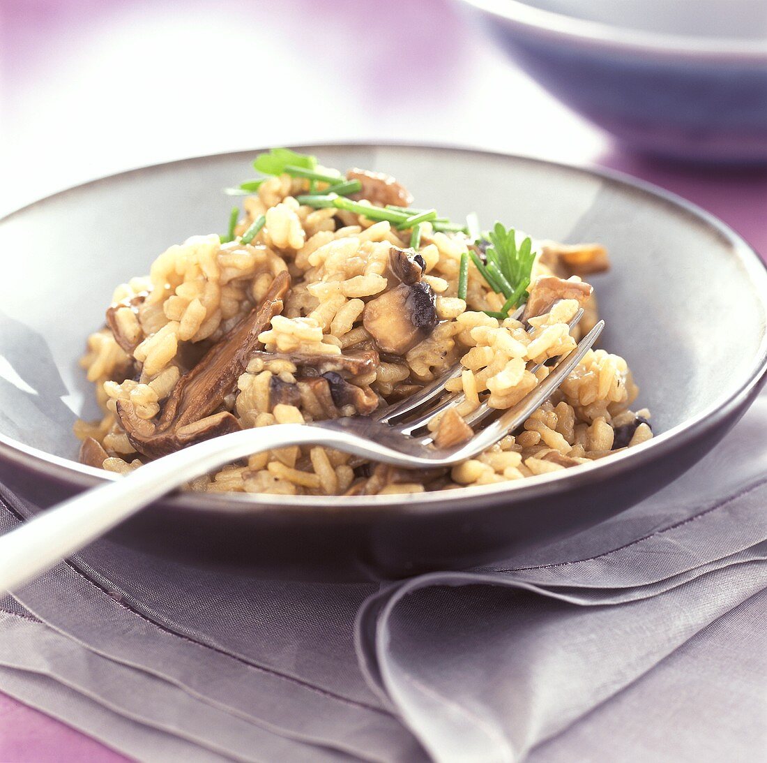 Risotto ai funghi di bosco (Reis mit gemischten Waldpilzen)