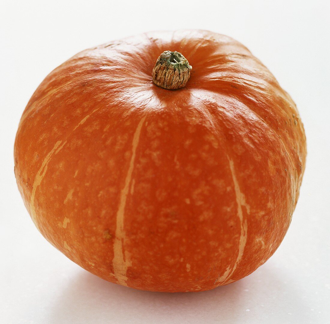 Giant orange pumpkin on a white background