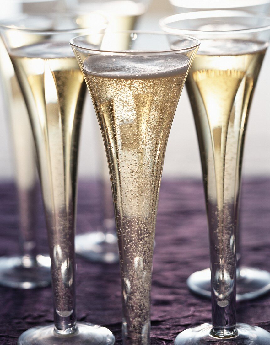 Several champagne glasses on purple background