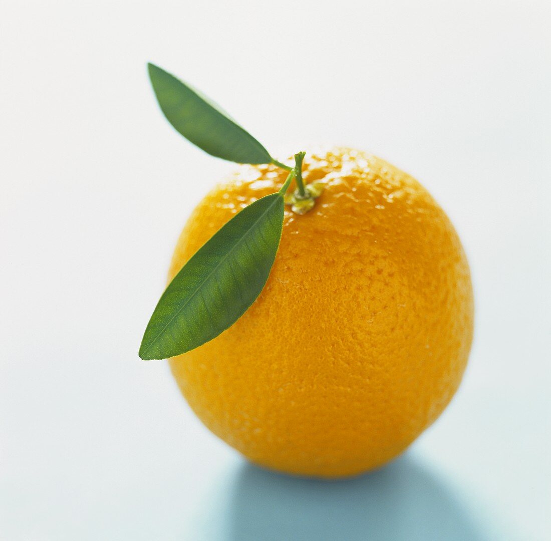 An orange with stalk and leaves