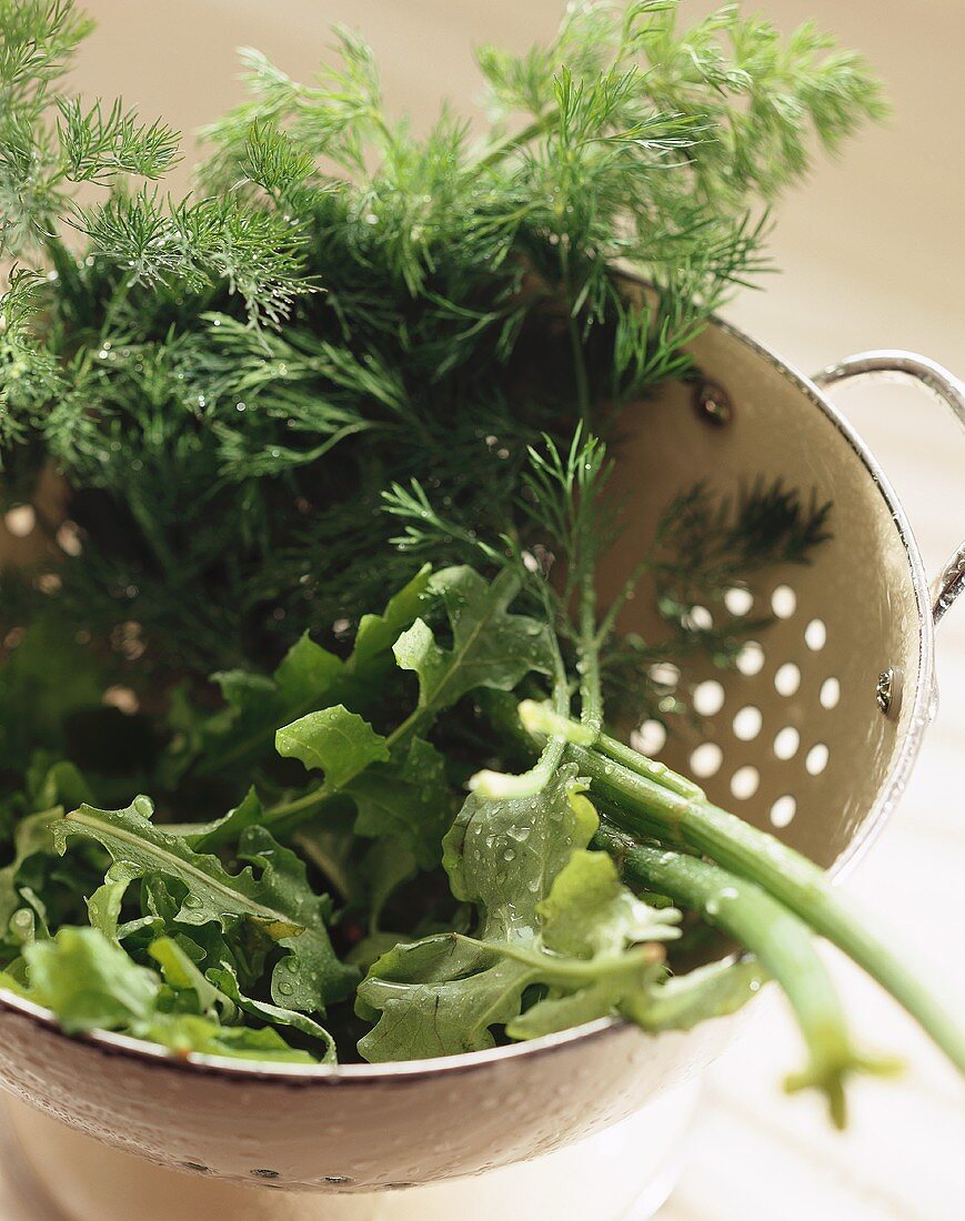 Rocket and fennel leaves in a strainer